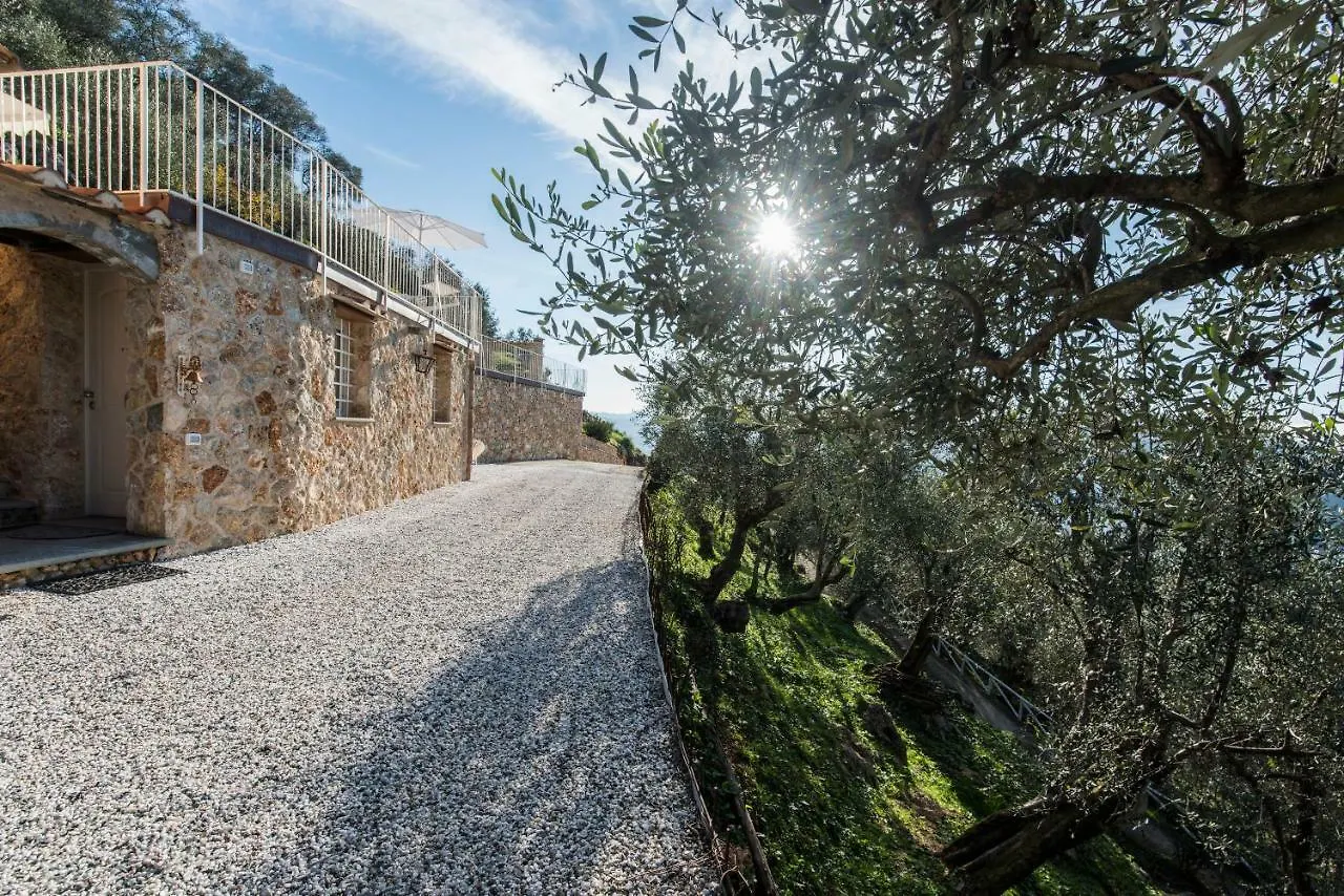 Charming Farmhouse In The Hills, Private Pool, Sea View, Dream Panorama Camaiore 0*,  Italy